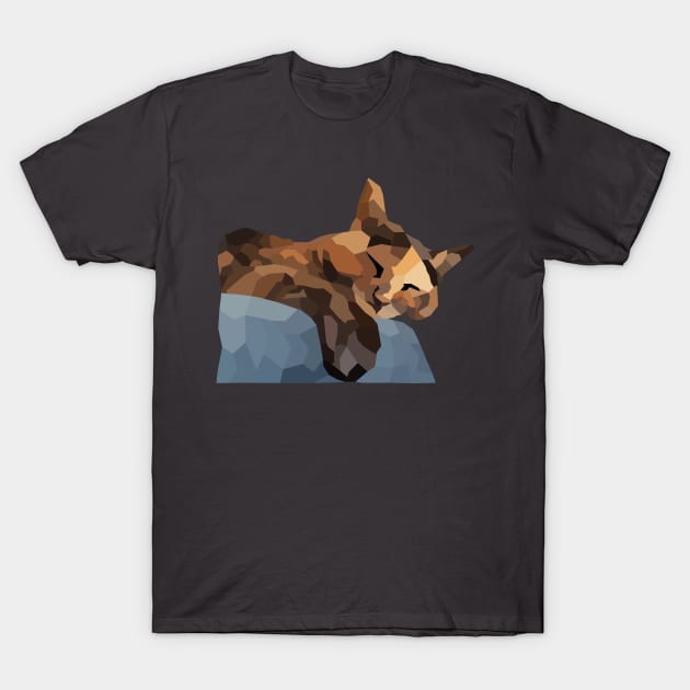 Tortie Low Poly T-Shirt by nonbeenarydesigns